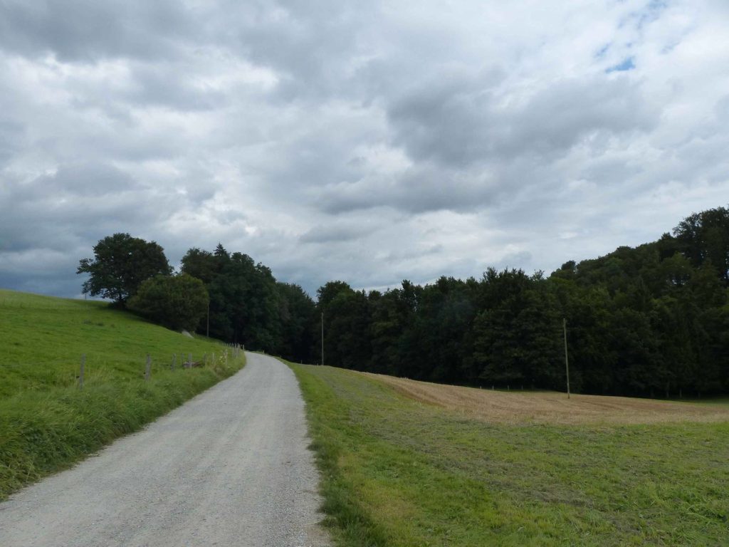 romont-la-neirigue-romont-147