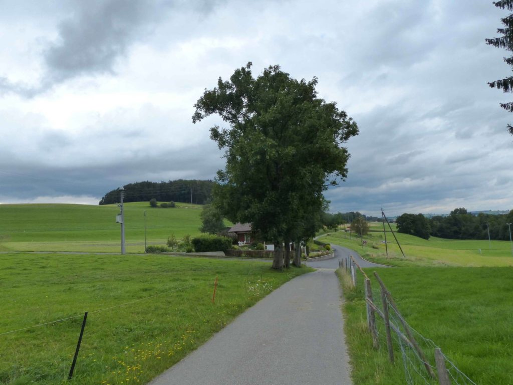 romont-la-neirigue-romont-149