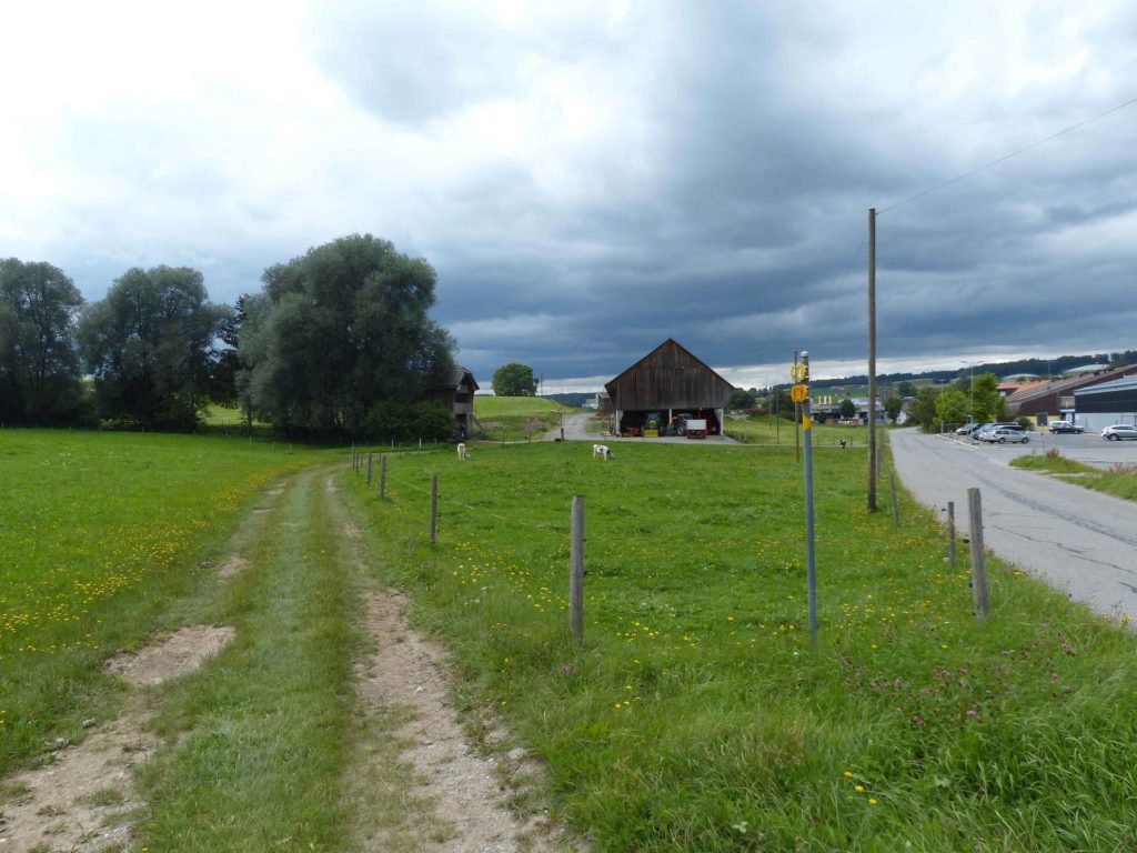 romont-la-neirigue-romont-153