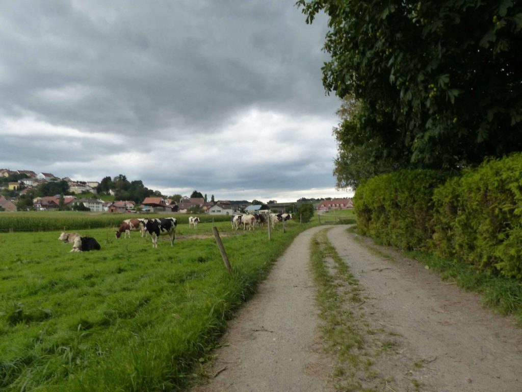 romont-la-neirigue-romont-158