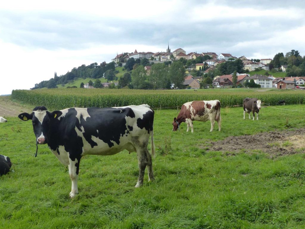 romont-la-neirigue-romont-159