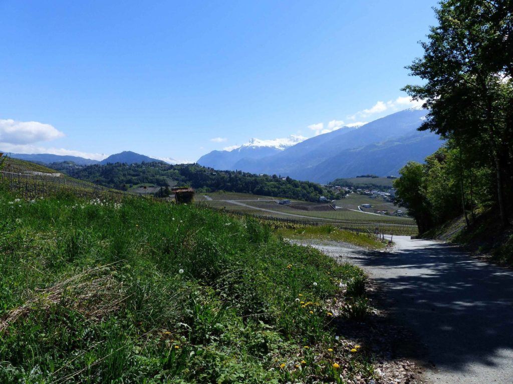 saviese-montorge-sion-101