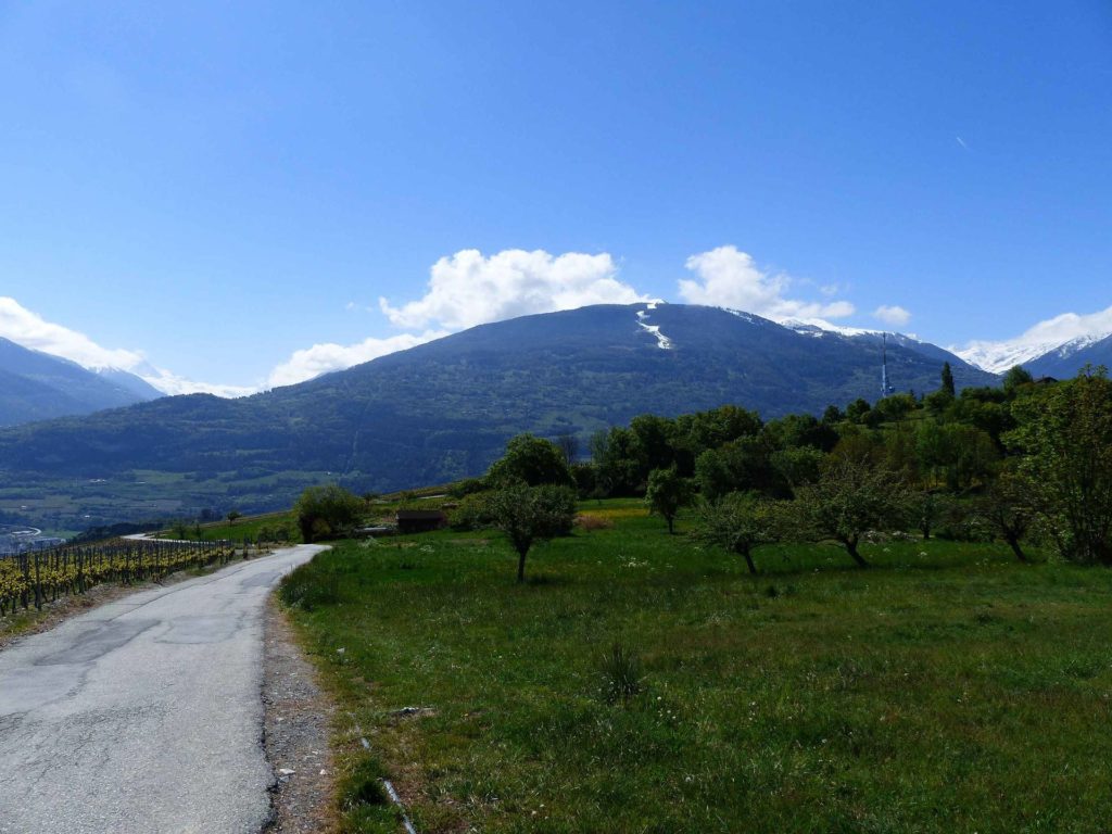 saviese-montorge-sion-102