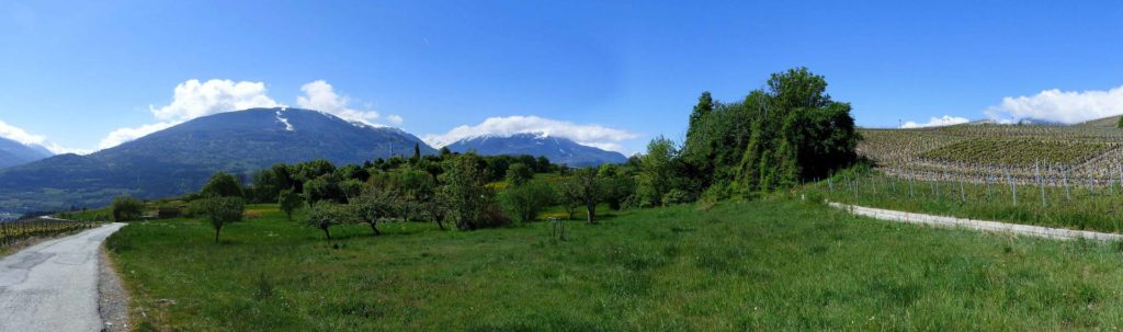saviese-montorge-sion-103