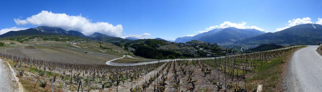 saviese-montorge-sion-106