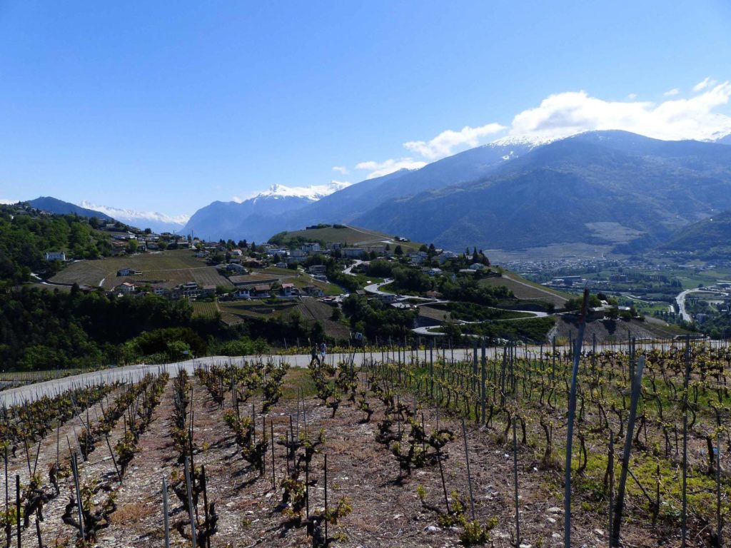 saviese-montorge-sion-107