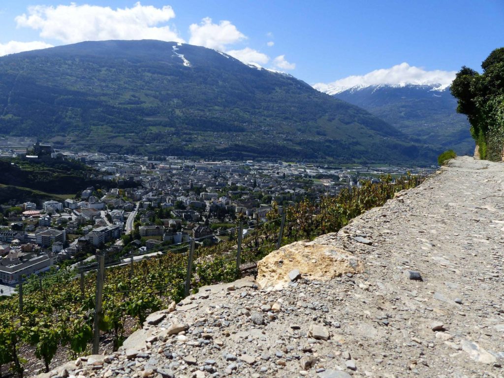 saviese-montorge-sion-110