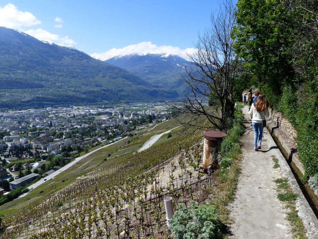 saviese-montorge-sion-113