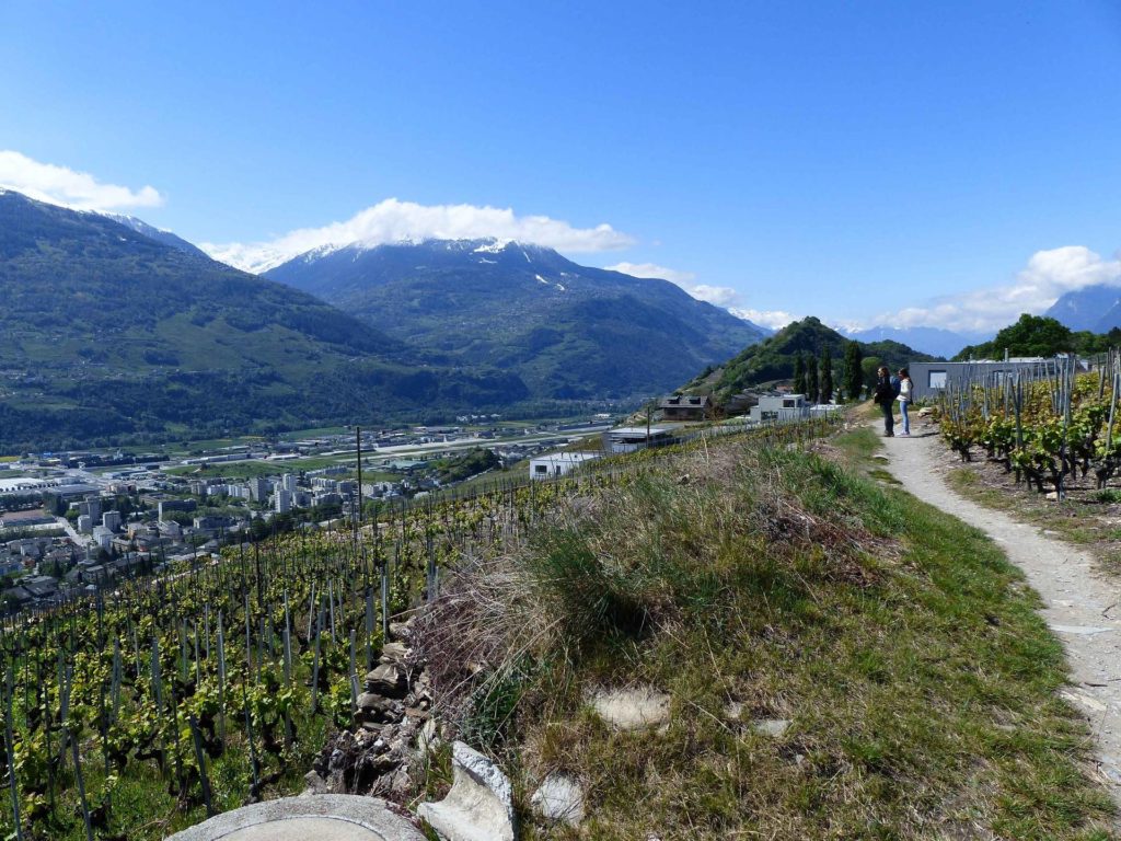 saviese-montorge-sion-120