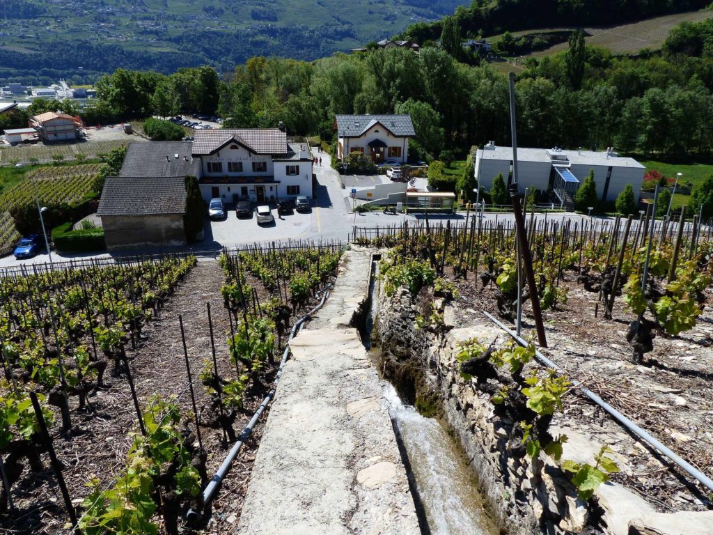 saviese-montorge-sion-124