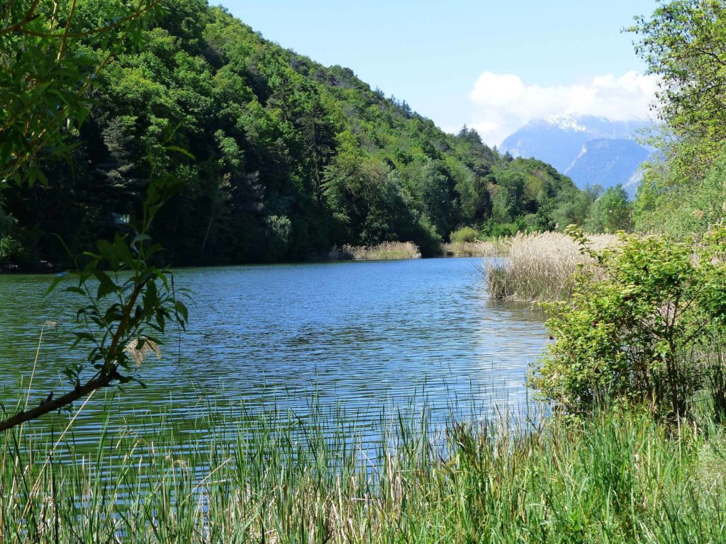 saviese-montorge-sion-125