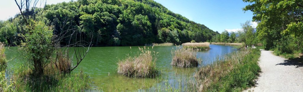saviese-montorge-sion-128