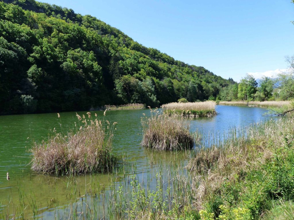 saviese-montorge-sion-129