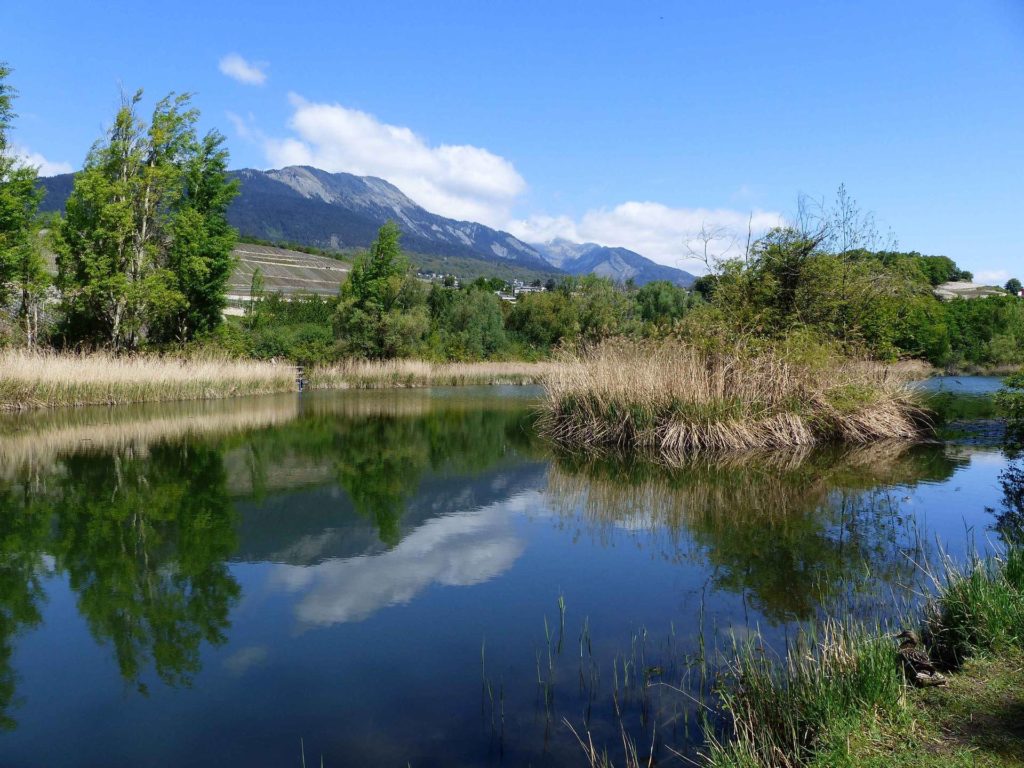 saviese-montorge-sion-133