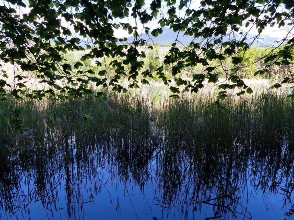 saviese-montorge-sion-137
