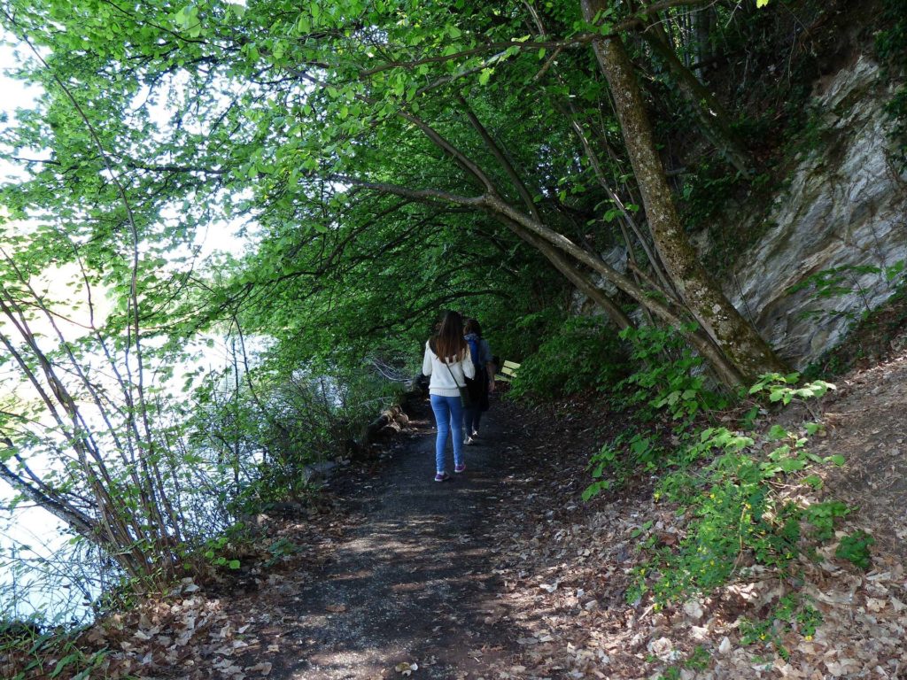 saviese-montorge-sion-138
