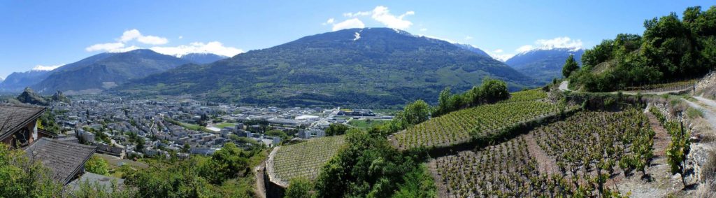 saviese-montorge-sion-141