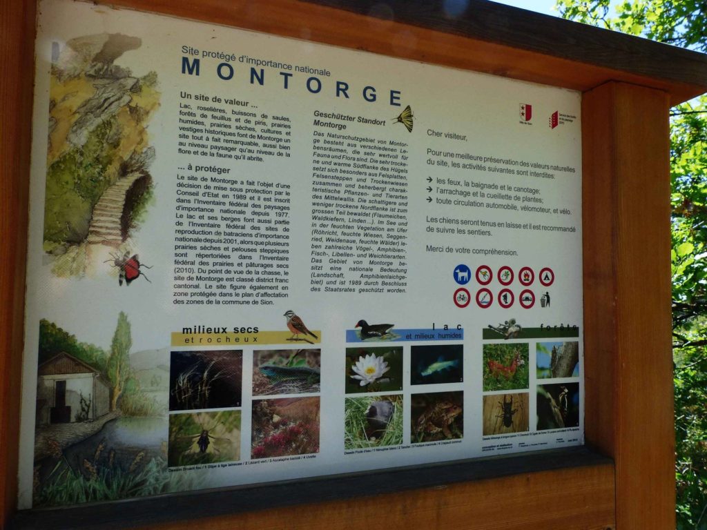 saviese-montorge-sion-143