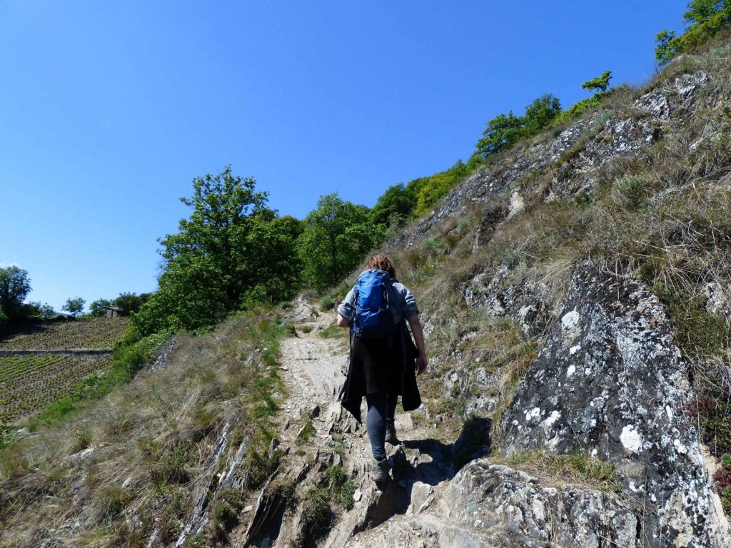 saviese-montorge-sion-144