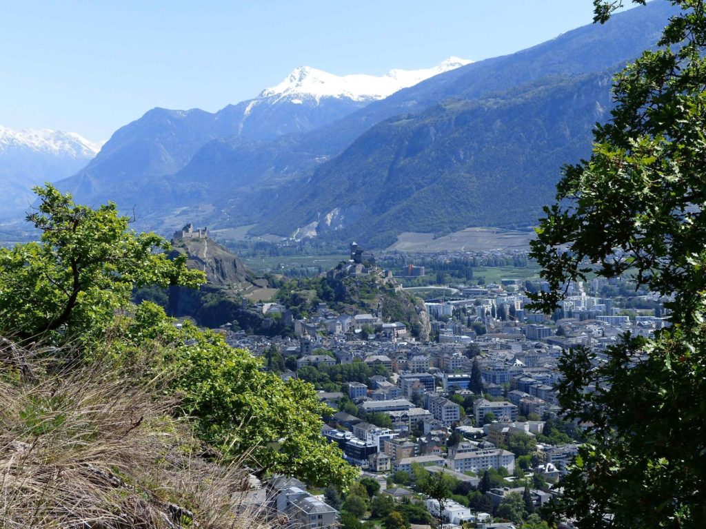 saviese-montorge-sion-146