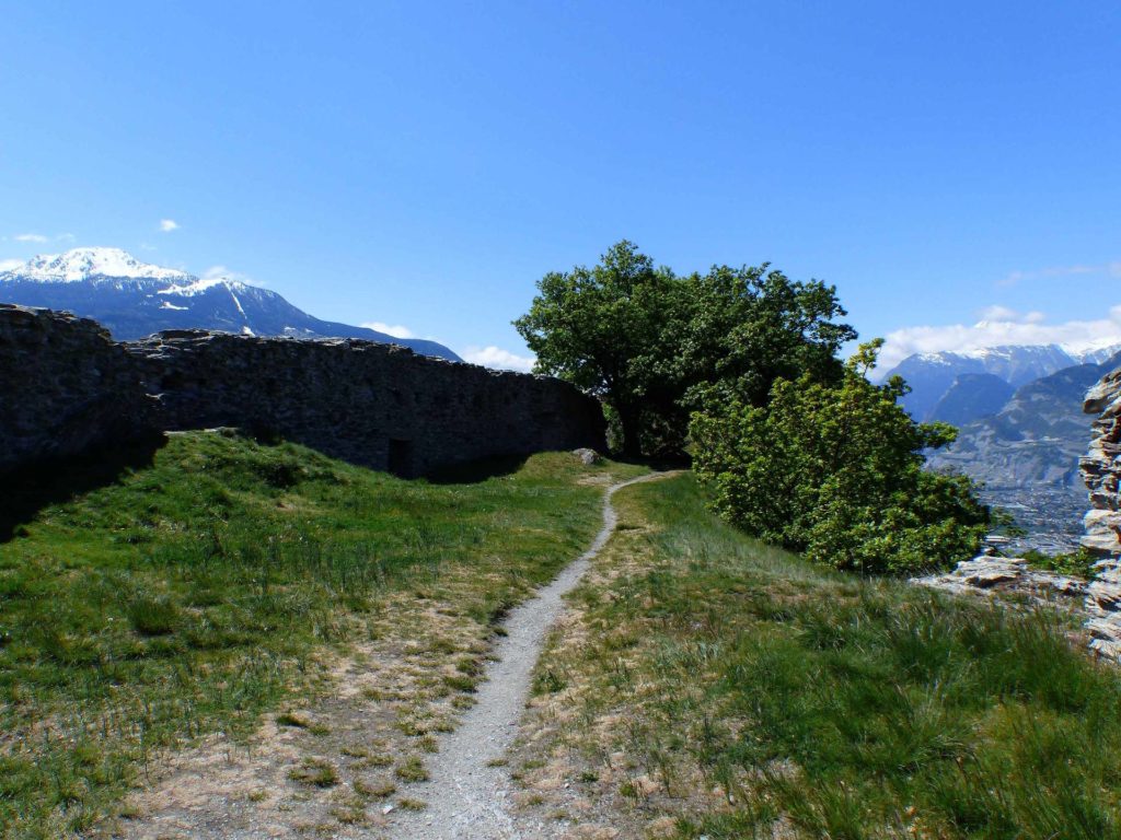 saviese-montorge-sion-157
