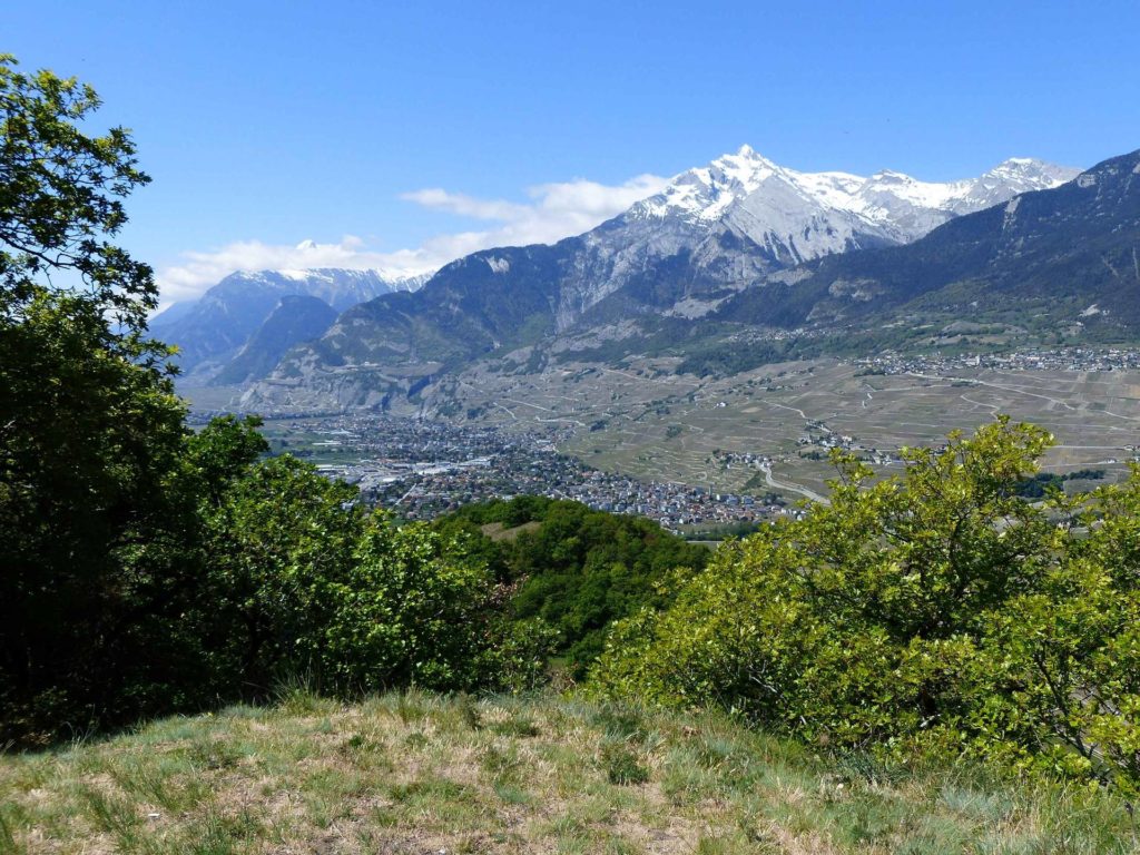 saviese-montorge-sion-165