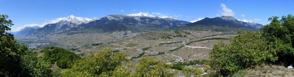 saviese-montorge-sion-171
