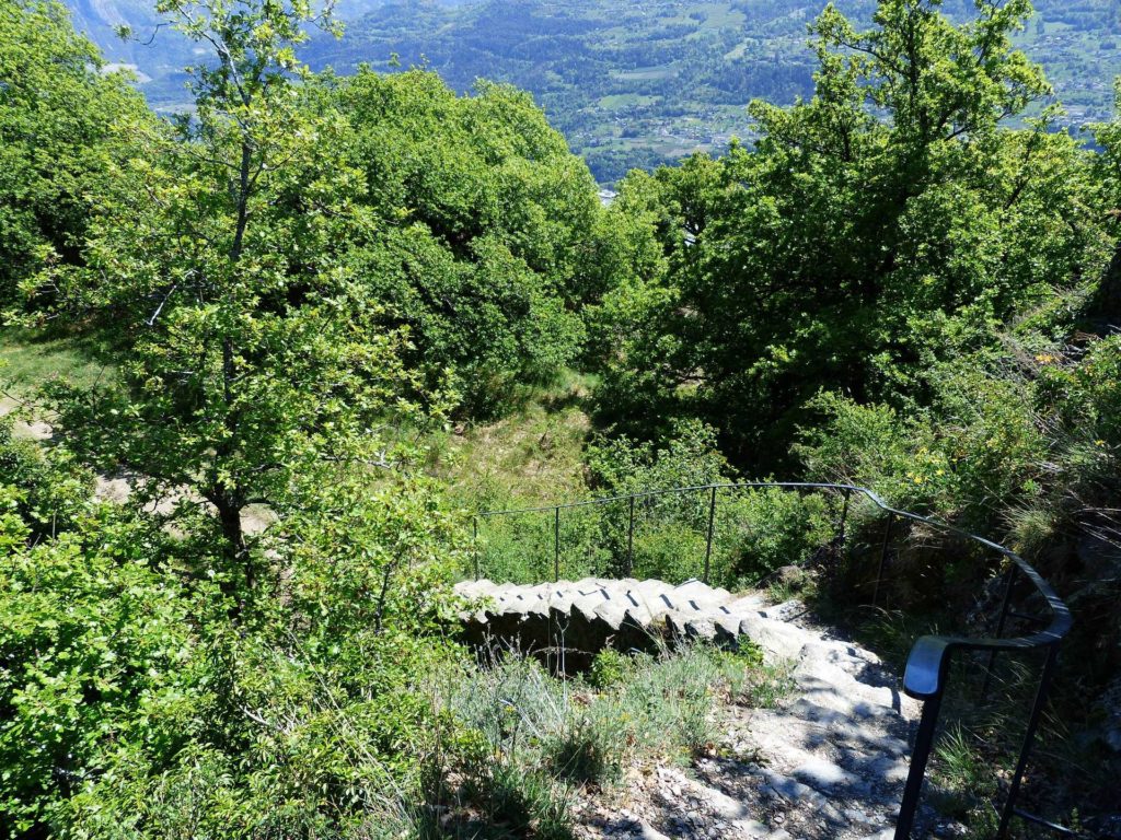 saviese-montorge-sion-181