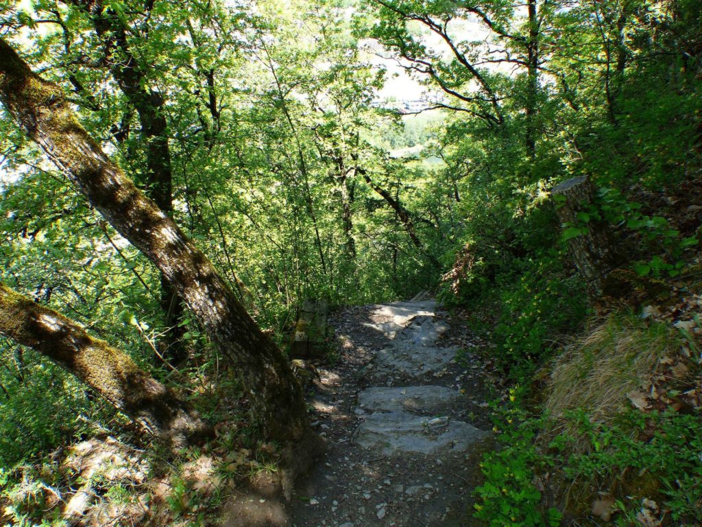 saviese-montorge-sion-182