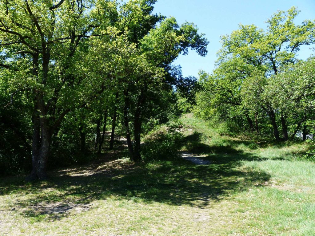 saviese-montorge-sion-183