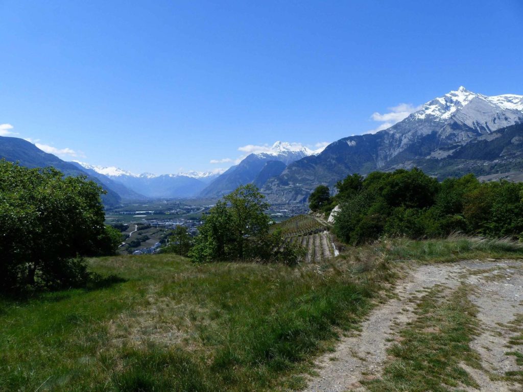 saviese-montorge-sion-184