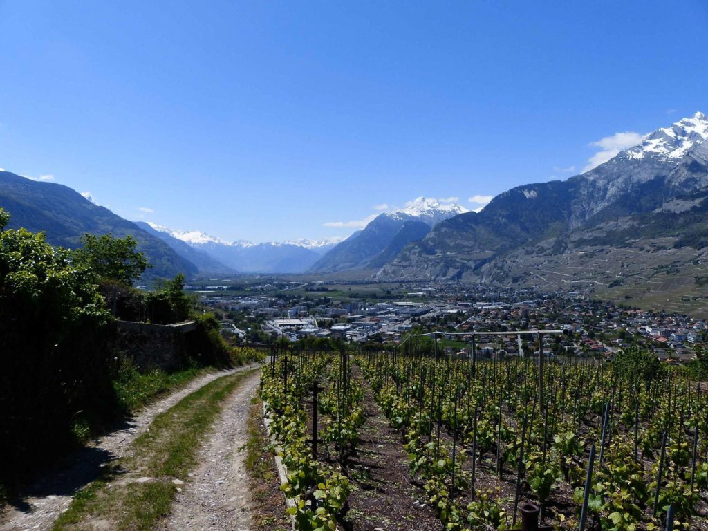 saviese-montorge-sion-186
