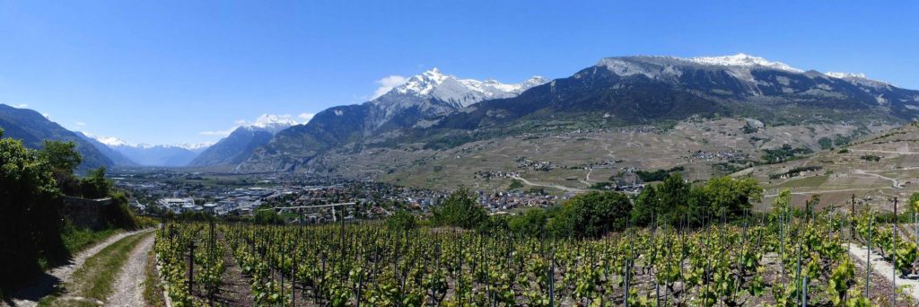 saviese-montorge-sion-187