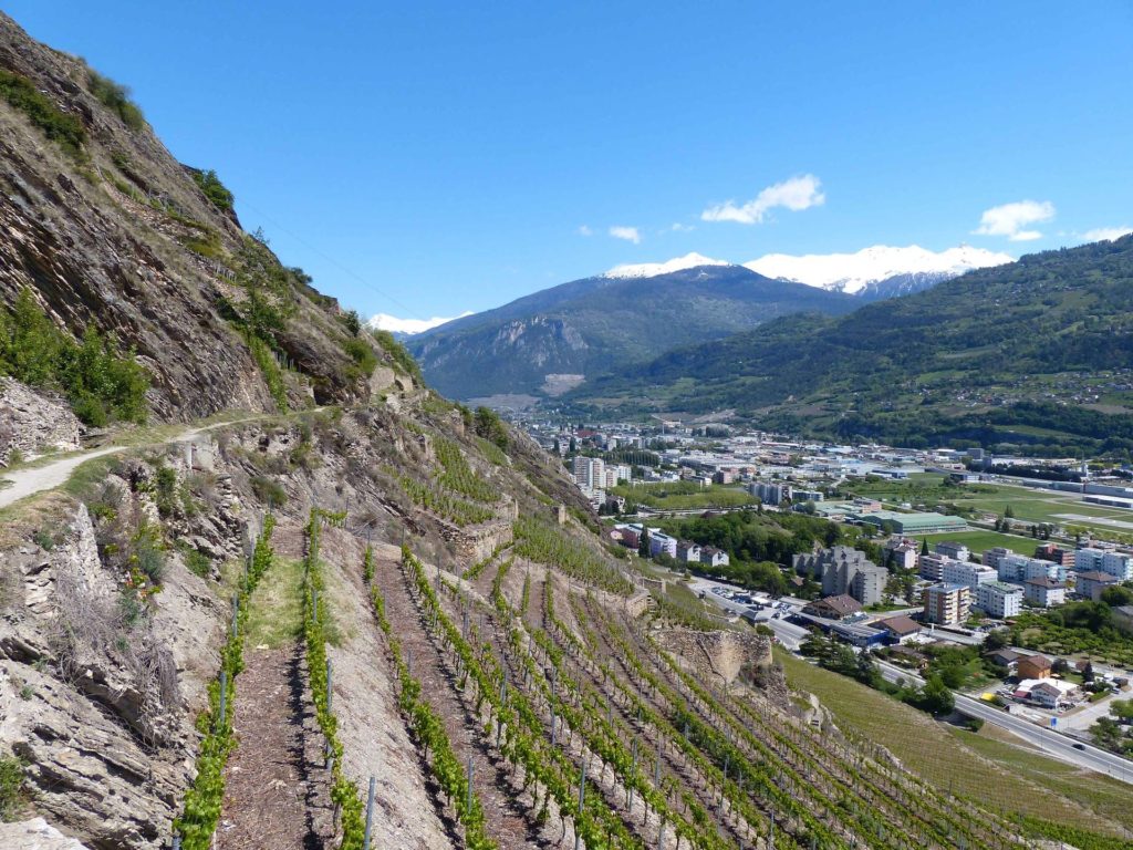 saviese-montorge-sion-200