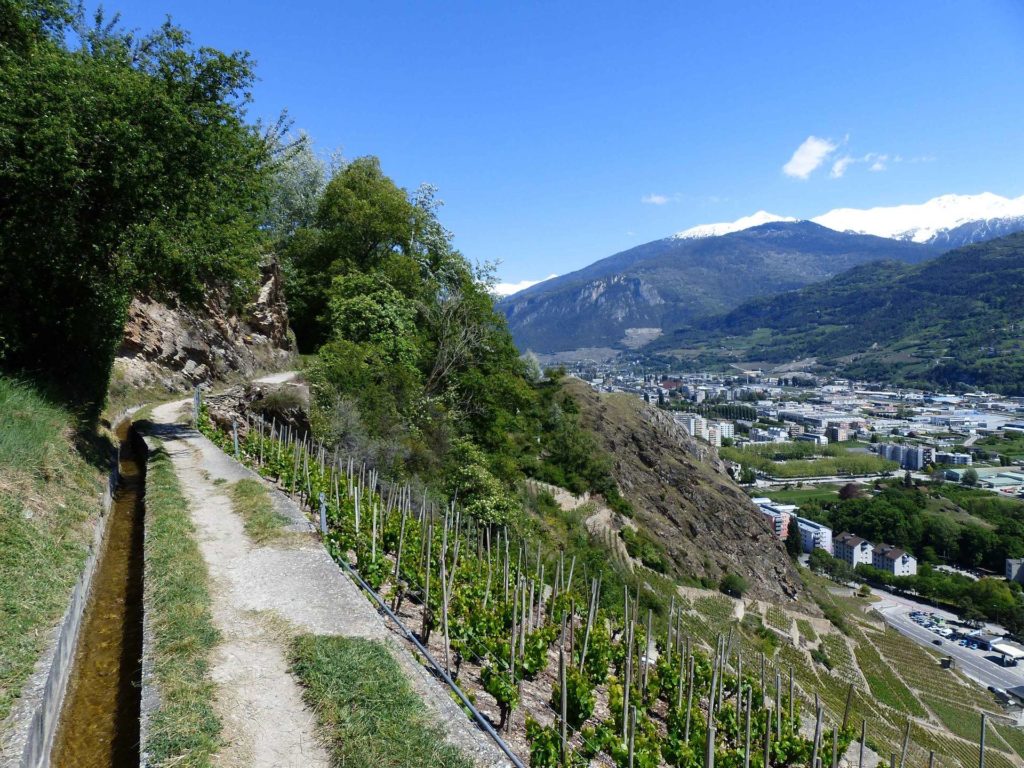saviese-montorge-sion-204