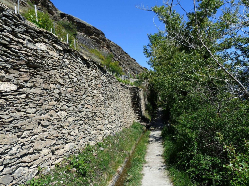 saviese-montorge-sion-207