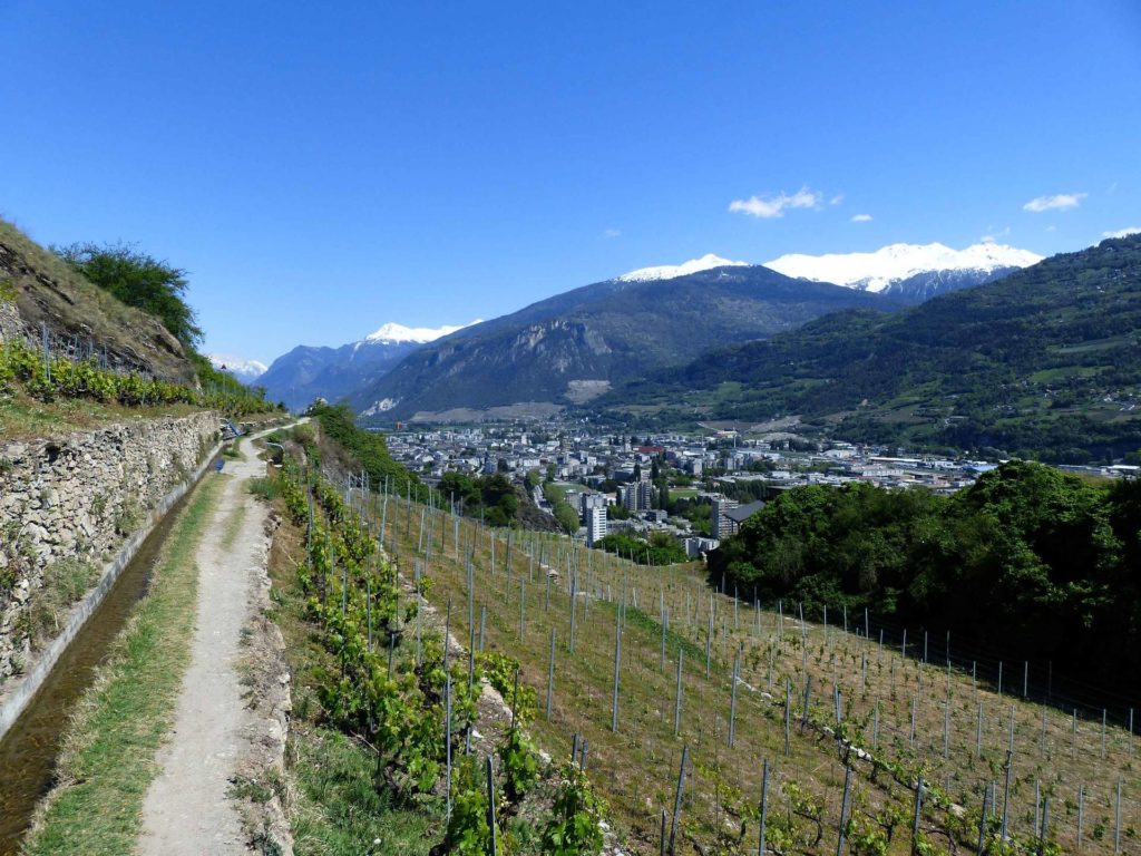 saviese-montorge-sion-209
