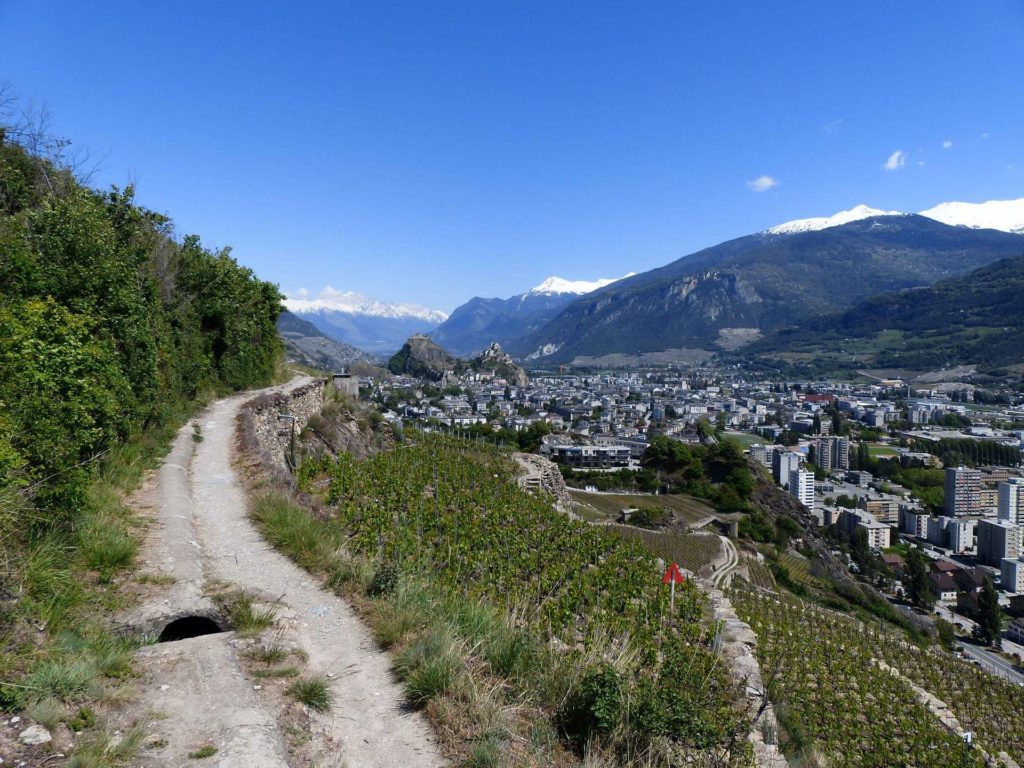 saviese-montorge-sion-212