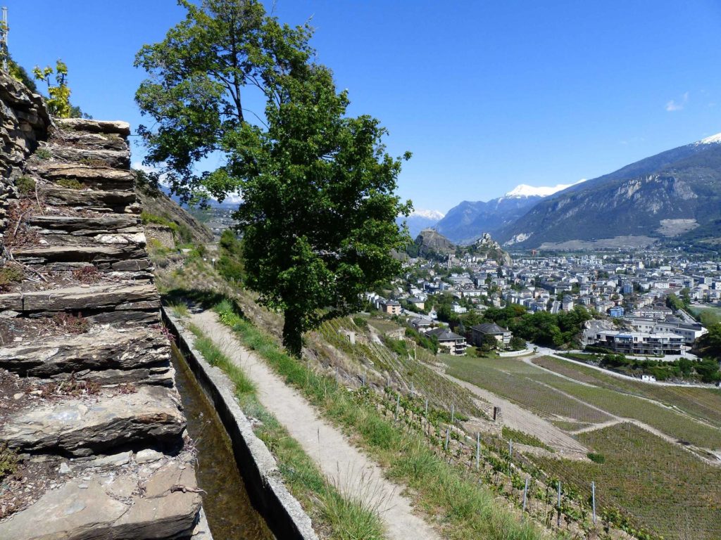 saviese-montorge-sion-215
