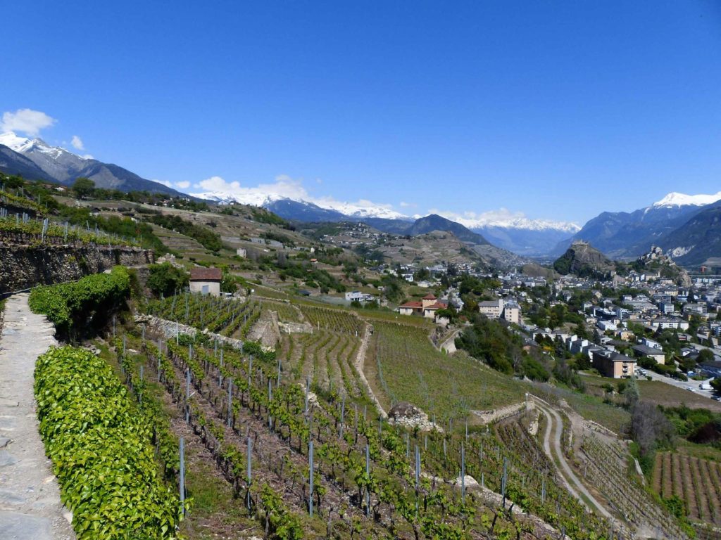 saviese-montorge-sion-219