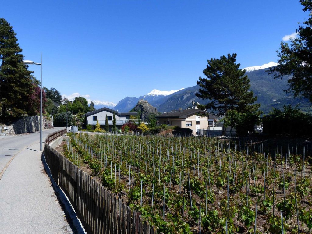 saviese-montorge-sion-221