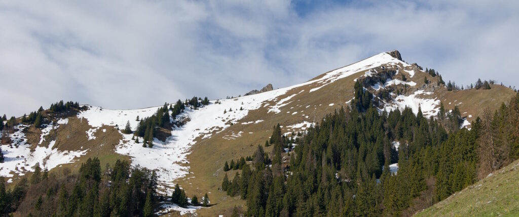 Vanil de l'Arche et Vanil Blanc